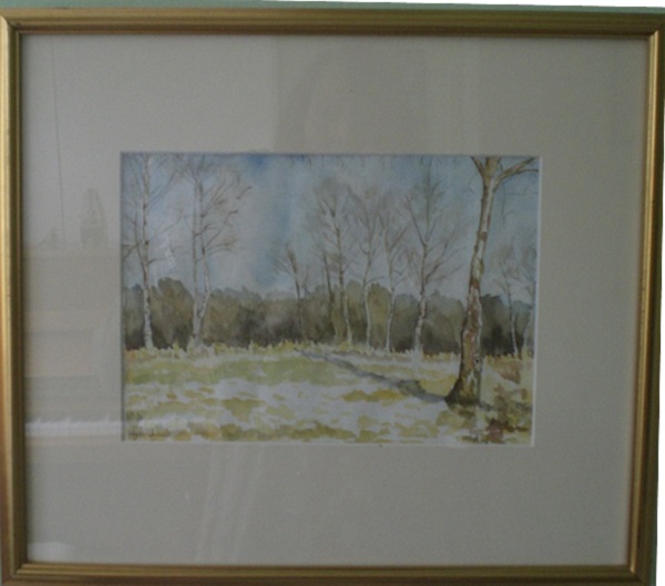 Winter Woods